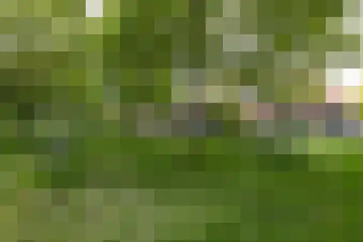 Engelse Schans 6 Lievelde thumbnail 32