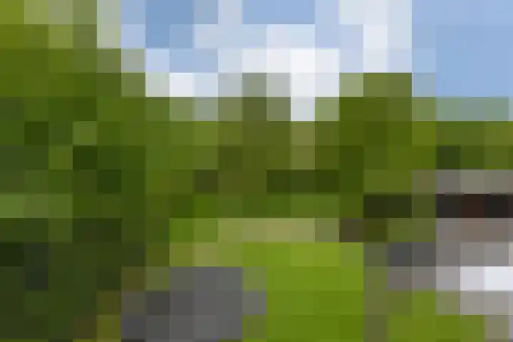Engelse Schans 6 Lievelde thumbnail 35