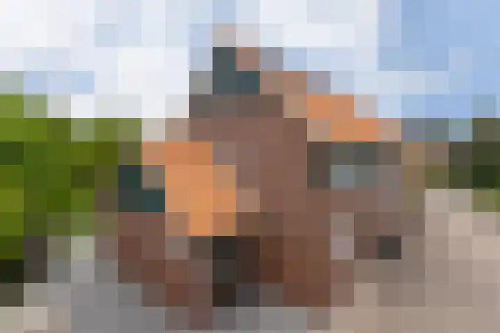 Engelse Schans 6 Lievelde thumbnail 38