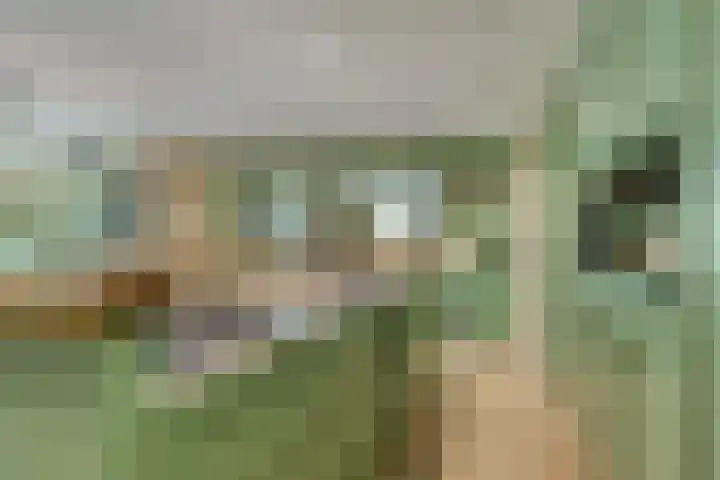 Engelse Tuin 11 Noordwijkerhout thumbnail 16