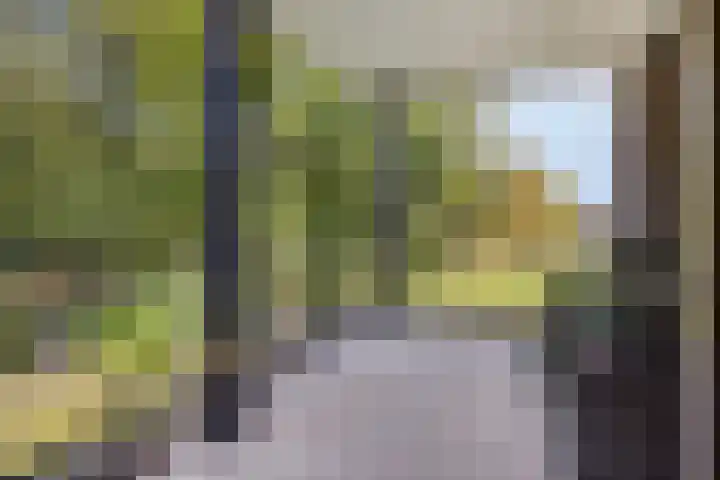 Engelse Tuin 11 Noordwijkerhout thumbnail 19