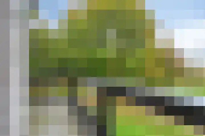 Engelse Tuin 11 Noordwijkerhout thumbnail 24