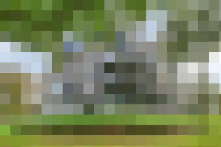 Engelse Tuin 11 Noordwijkerhout thumbnail 31