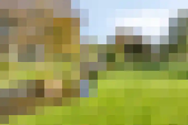 Engelse Tuin 11 Noordwijkerhout thumbnail 36