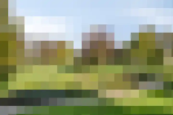 Engelse Tuin 11 Noordwijkerhout thumbnail 37