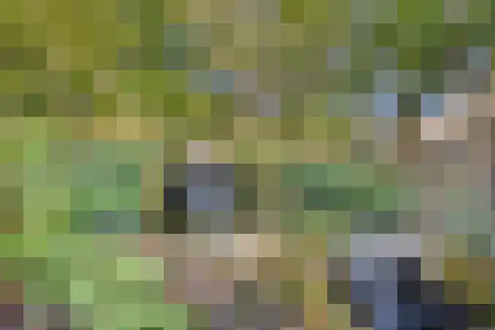 Engelse Tuin 11 Noordwijkerhout thumbnail 38