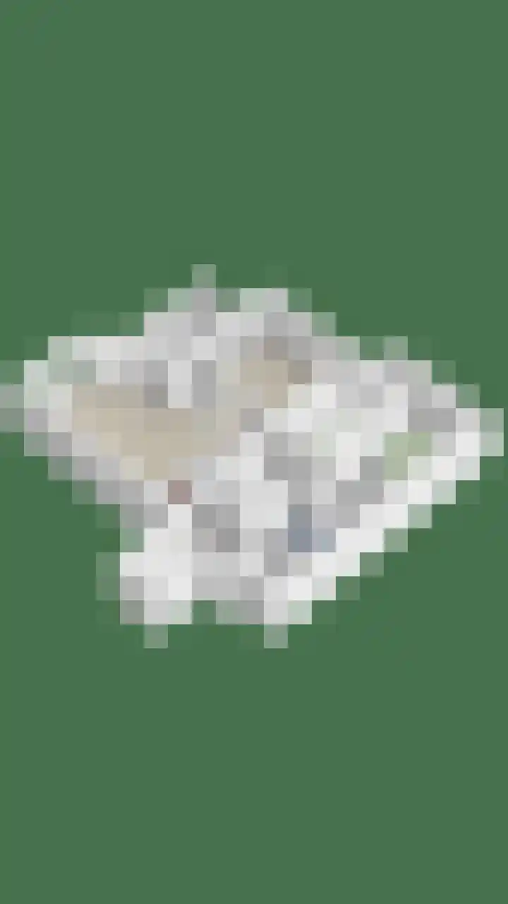 Engelse Tuin 11 Noordwijkerhout thumbnail 41
