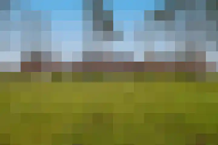 Engelse Tuin 28 Noordwijkerhout thumbnail 35