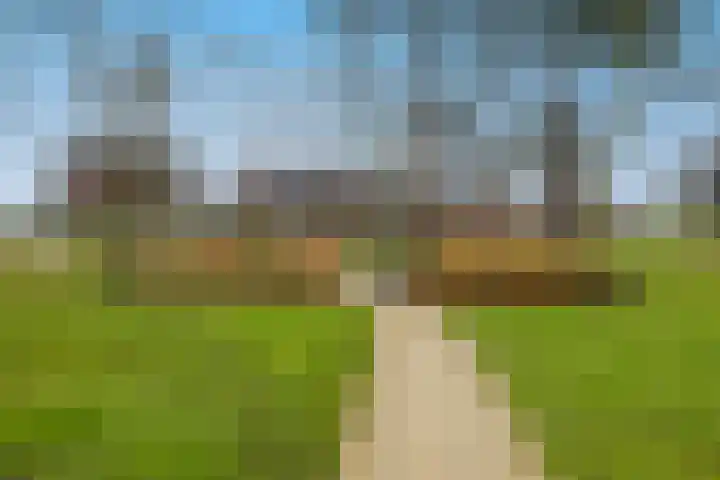 Engelse Tuin 28 Noordwijkerhout thumbnail 36