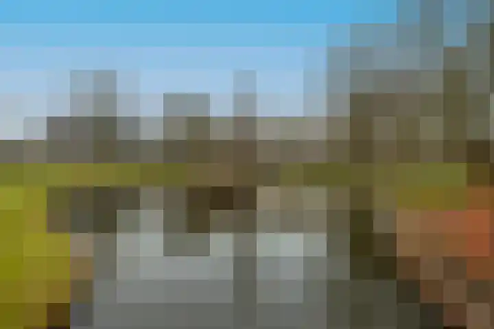 Engelse Tuin 28 Noordwijkerhout thumbnail 38