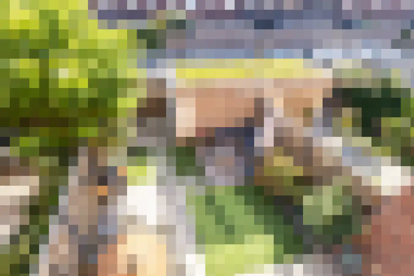 Engelse Tuin 32 Noordwijkerhout thumbnail 30
