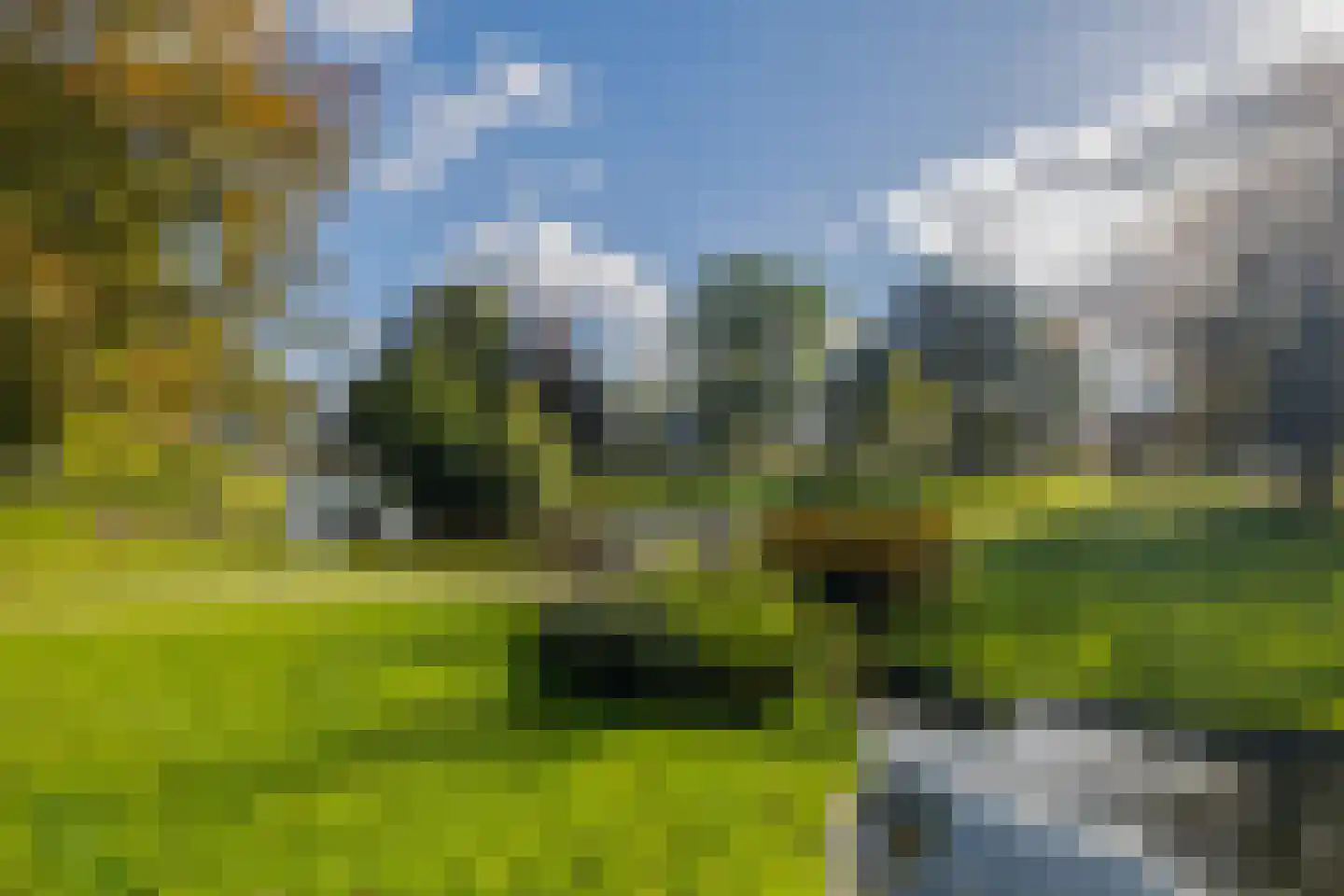 Engelse Tuin 32 Noordwijkerhout thumbnail 33