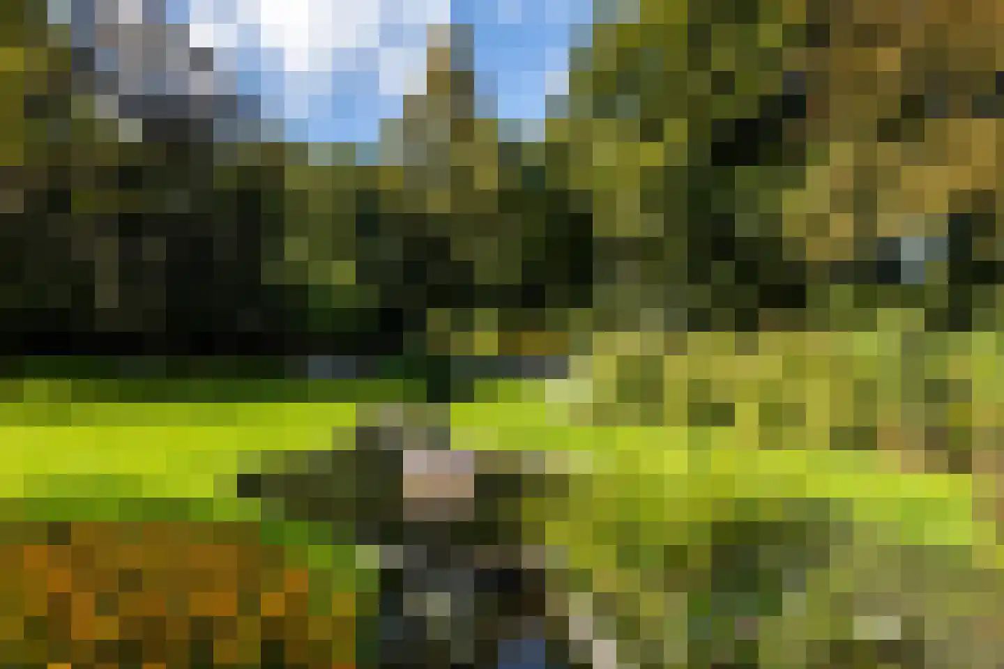 Engelse Tuin 32 Noordwijkerhout thumbnail 34