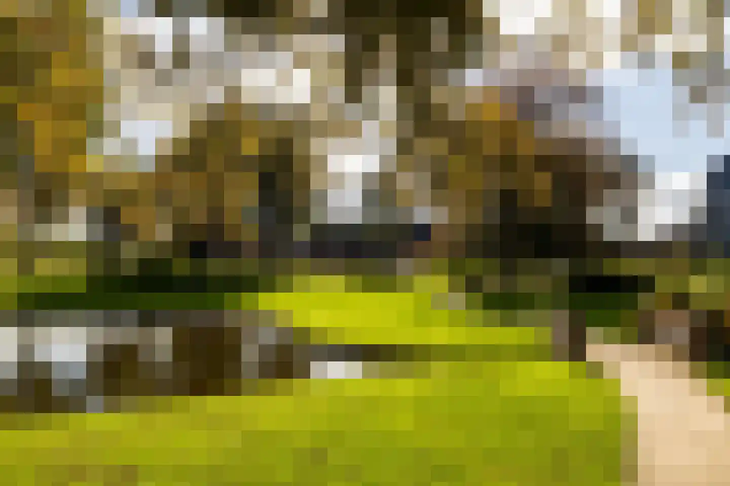 Engelse Tuin 32 Noordwijkerhout thumbnail 4