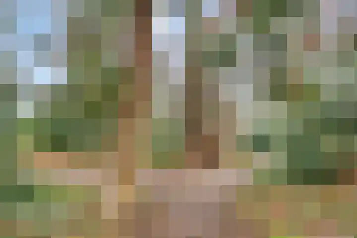 Engelse Tuin 33 Sint-Michielsgestel thumbnail 32
