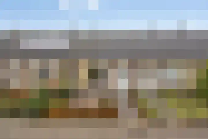 Engelse Tuin 33 Sint-Michielsgestel thumbnail 37