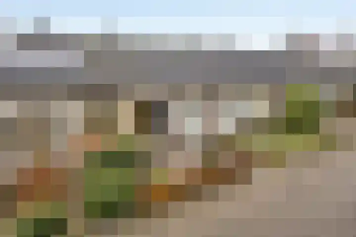 Engelse Tuin 33 Sint-Michielsgestel thumbnail 38