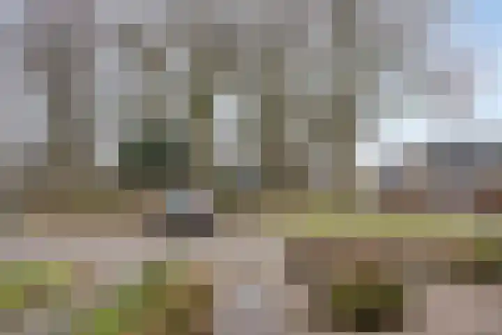 Engelse Tuin 33 Sint-Michielsgestel thumbnail 40