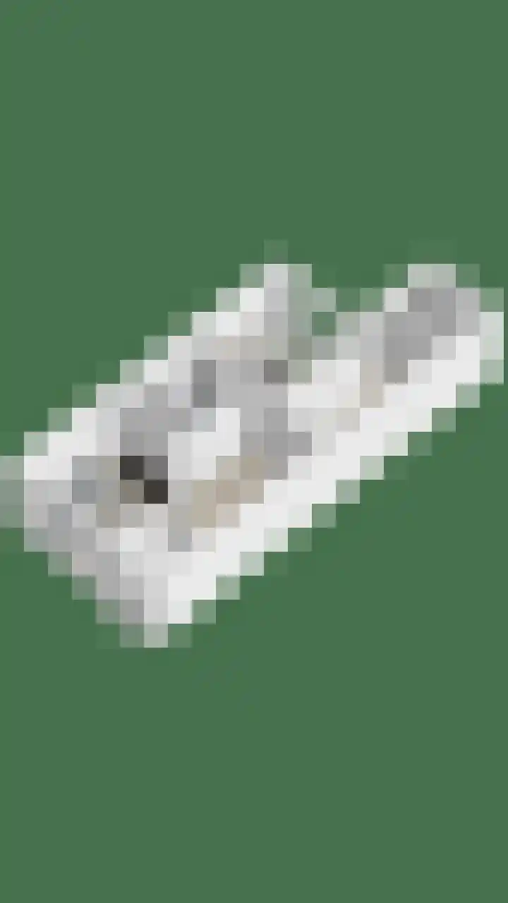 Engelse Tuin 33 Sint-Michielsgestel thumbnail 42