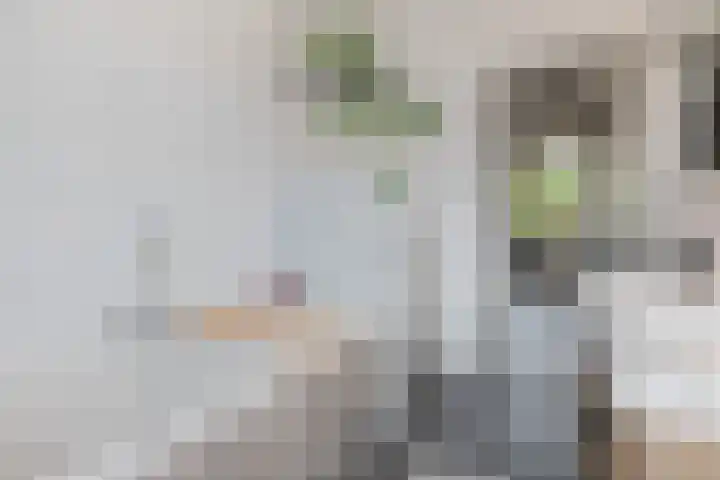 Engelse Tuin 6 Noordwijkerhout thumbnail 13