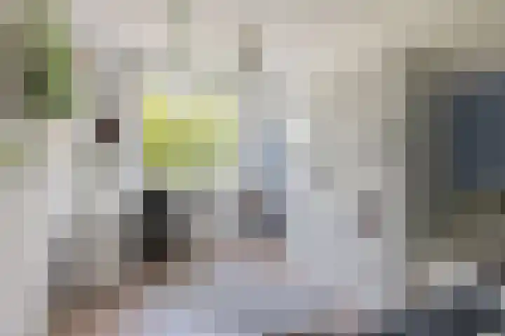 Engelse Tuin 6 Noordwijkerhout thumbnail 15