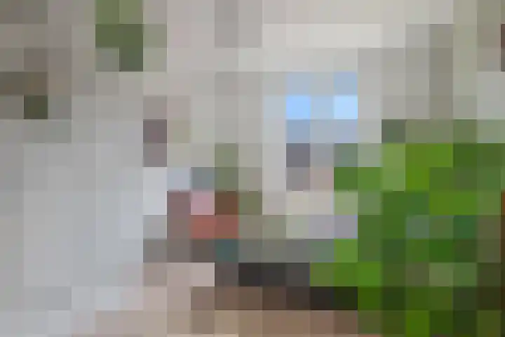 Engelse Tuin 6 Noordwijkerhout thumbnail 17