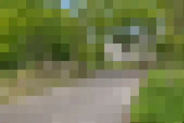 Engelse Tuin 6 Noordwijkerhout thumbnail 28