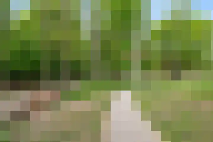 Engelse Tuin 6 Noordwijkerhout thumbnail 29