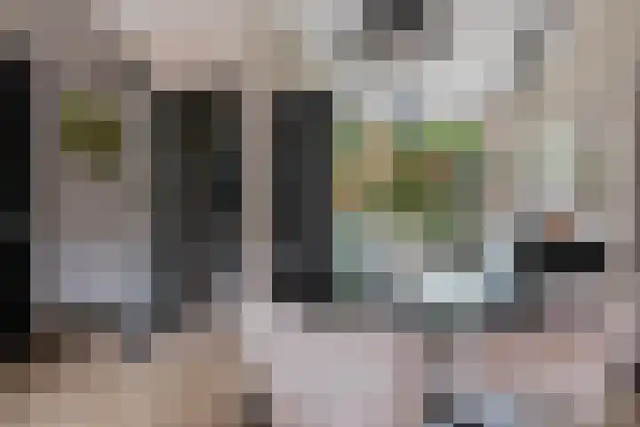 Engelse Tuin 6 Noordwijkerhout thumbnail 4
