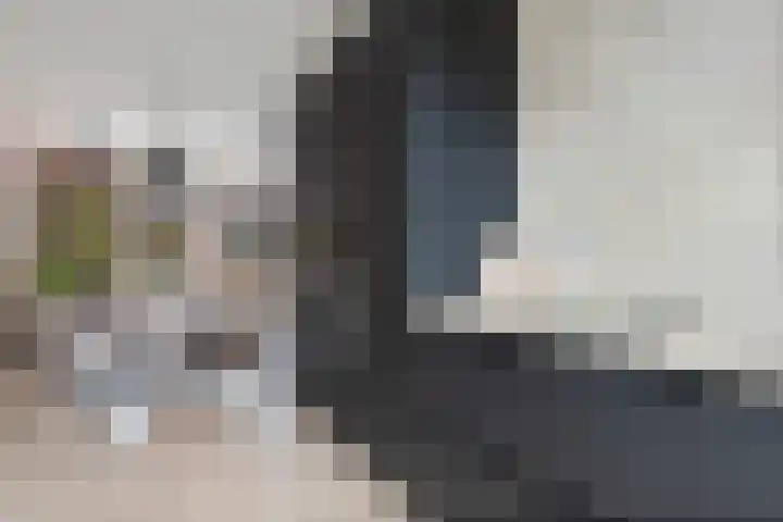 Engelse Tuin 6 Noordwijkerhout thumbnail 6