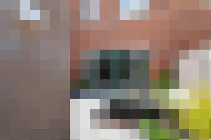 Engelse Tuin 6 Noordwijkerhout thumbnail 8