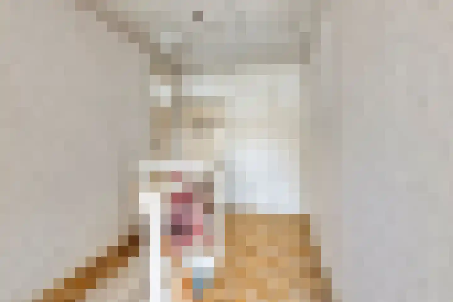 Engelse wal 13 Raamsdonk thumbnail 13