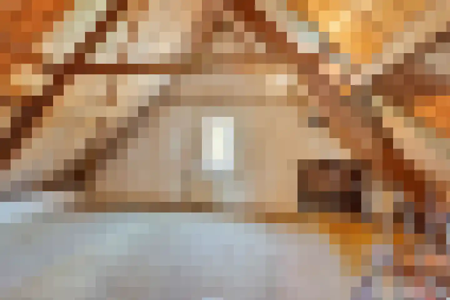 Engelse wal 13 Raamsdonk thumbnail 19