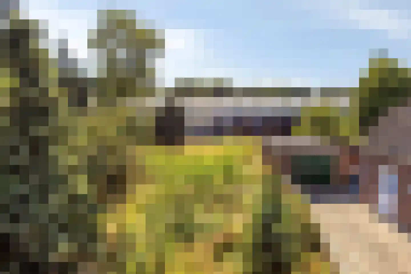 Engelse wal 13 Raamsdonk thumbnail 21