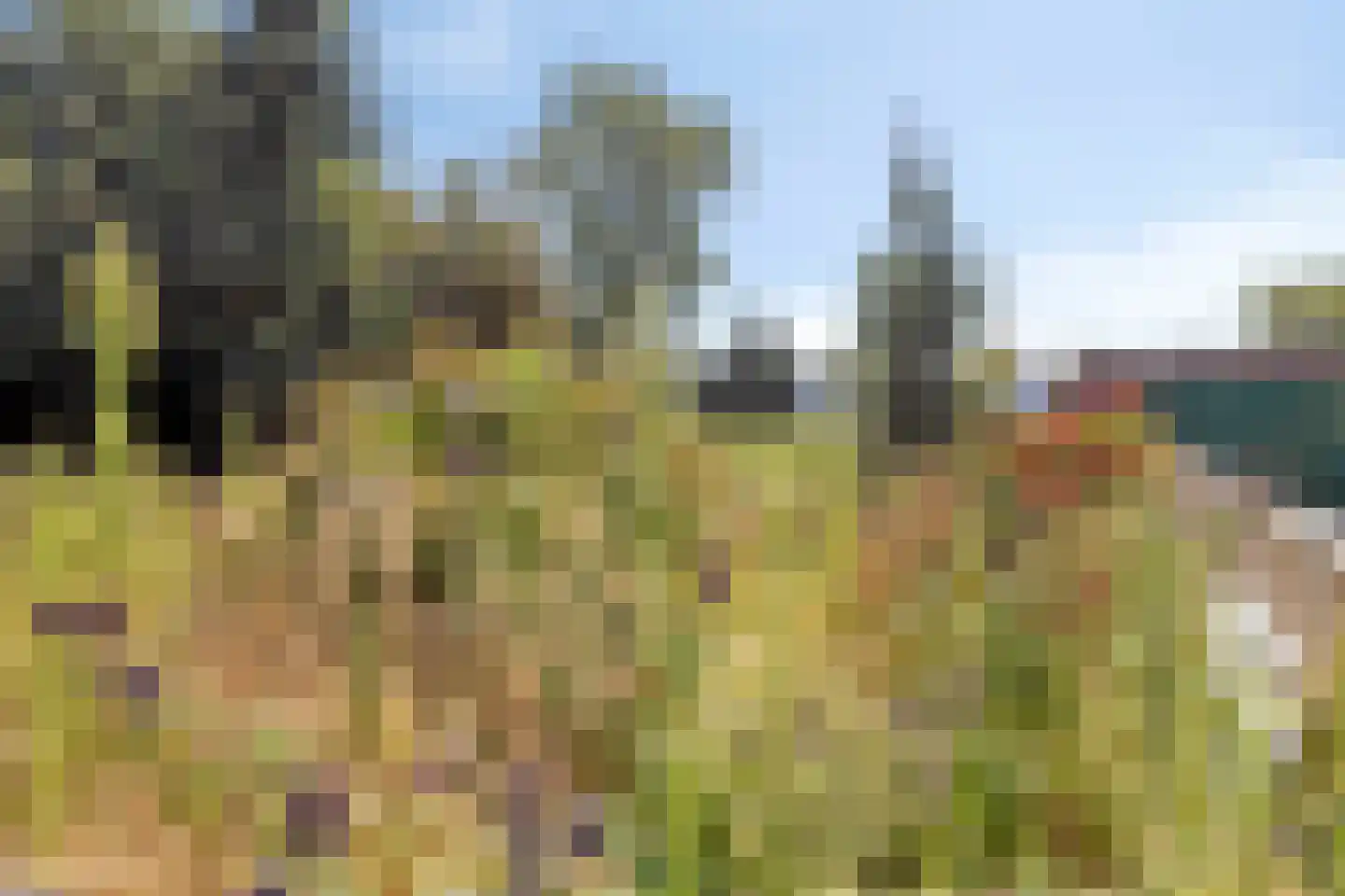 Engelse wal 13 Raamsdonk thumbnail 27