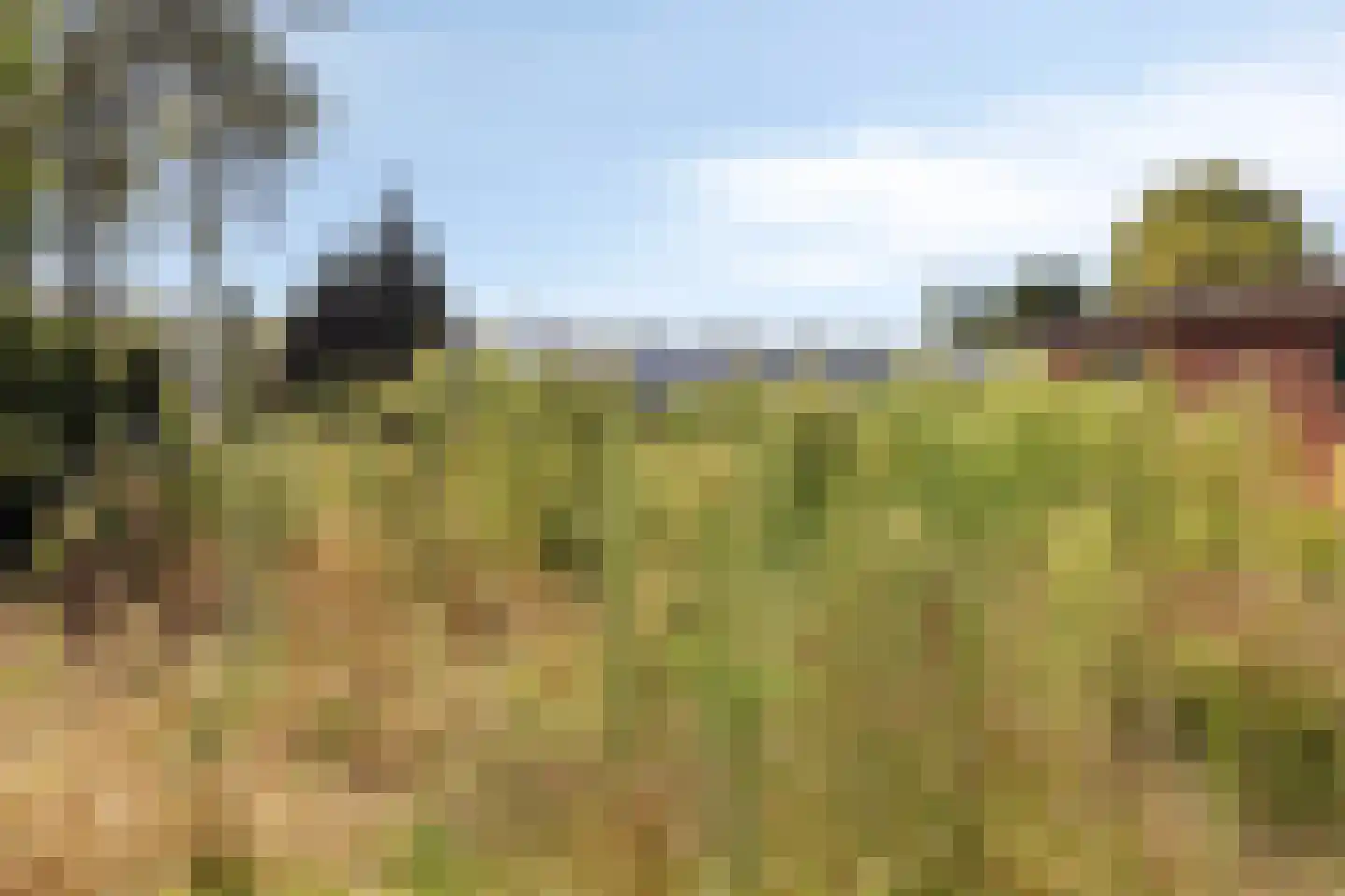 Engelse wal 13 Raamsdonk thumbnail 28