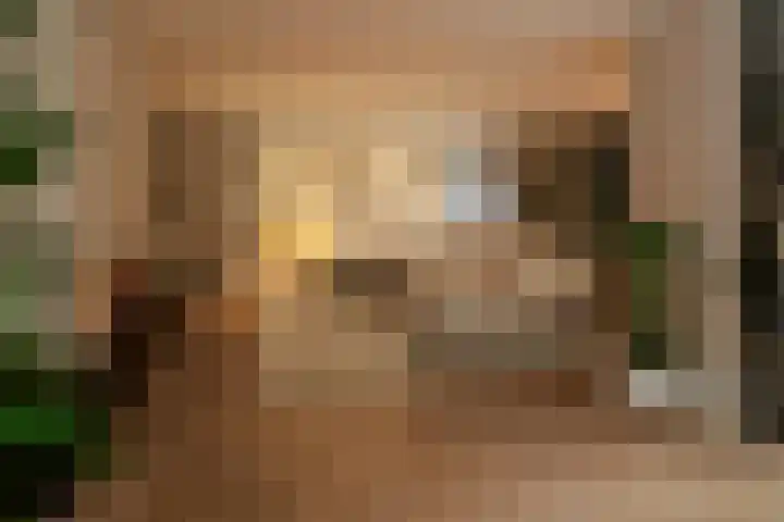 Engelse Werklaan 5 Veenendaal thumbnail 10