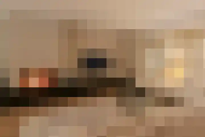 Engelse Werklaan 5 Veenendaal thumbnail 12
