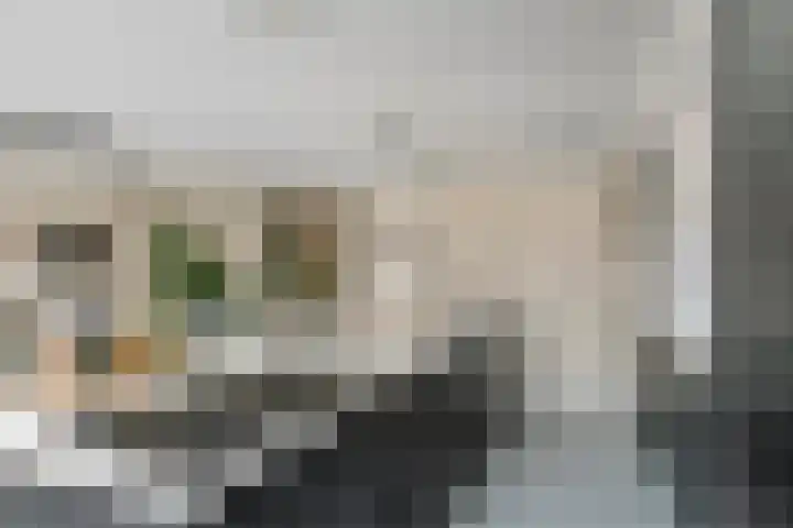 Engelse Werklaan 5 Veenendaal thumbnail 21