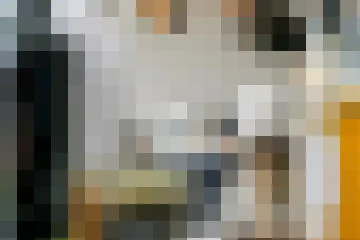 Engelse Werklaan 5 Veenendaal thumbnail 22