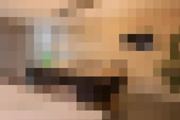 Engelse Werklaan 5 Veenendaal thumbnail 24