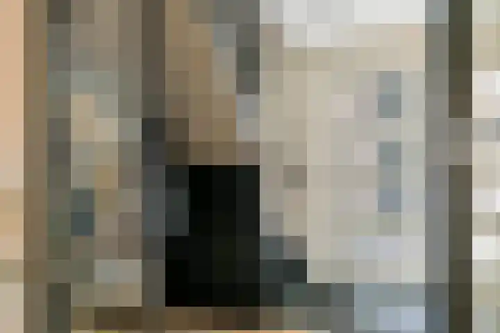 Engelse Werklaan 5 Veenendaal thumbnail 25
