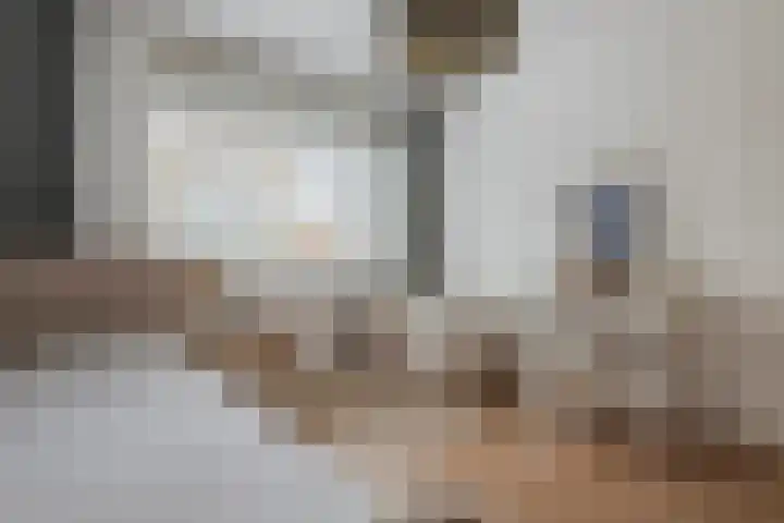 Engelse Werklaan 5 Veenendaal thumbnail 28