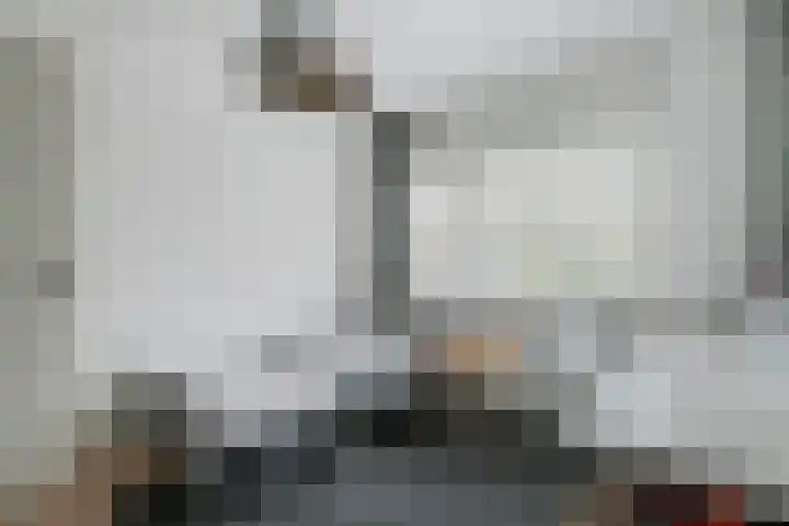 Engelse Werklaan 5 Veenendaal thumbnail 30