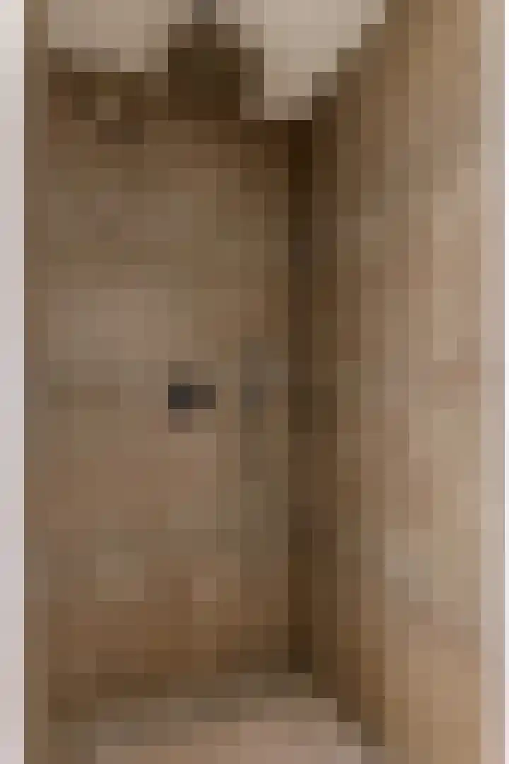 Engelse Werklaan 5 Veenendaal thumbnail 33