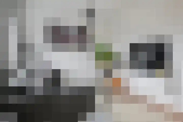 Engelse Werklaan 5 Veenendaal thumbnail 35