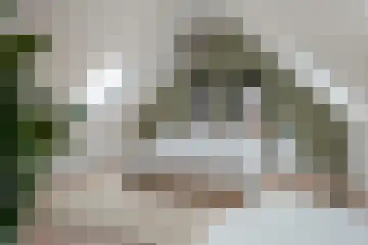 Engelse Werklaan 5 Veenendaal thumbnail 37