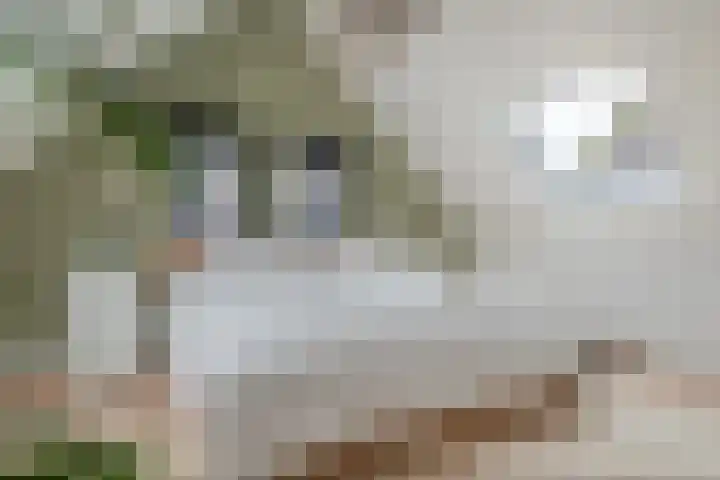Engelse Werklaan 5 Veenendaal thumbnail 38