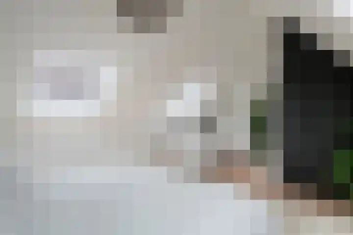 Engelse Werklaan 5 Veenendaal thumbnail 39
