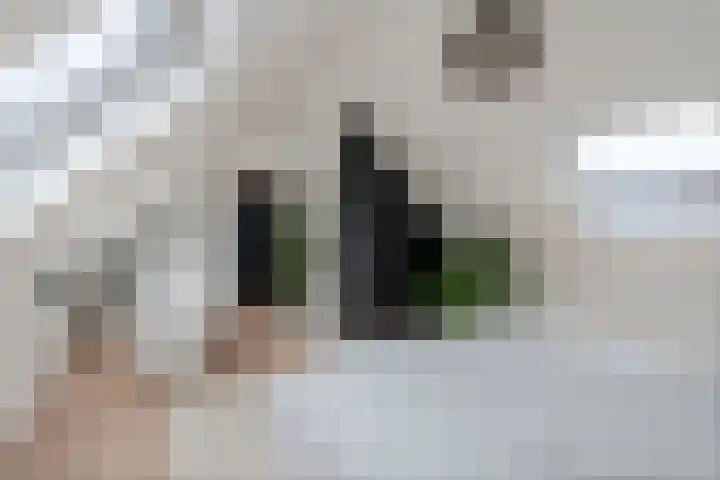 Engelse Werklaan 5 Veenendaal thumbnail 40
